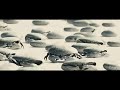 PIRATES OF THE CARIBBEAN At Words Hindi Dubbed Movie Pirates Of The Caribbean