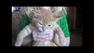 Iris Gives a Tour of Some of her Favorite Things