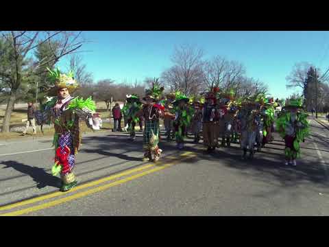 AVALON  STRING BAND -  IT'S A GREAT DAY FOR THE IRISH