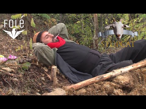 Stupcat - Seriali Egjeli - Episodi 2 (HD)