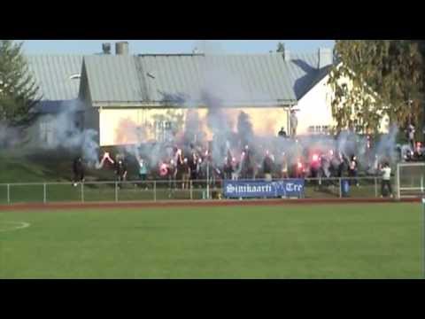 SINIKAARTI VIIALASSA 2013