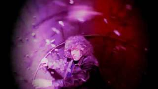 Forte - Branduardi (video ufficiale)