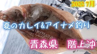 【船釣り】夏のカレイ＆アイナメ釣り【釣行日記】