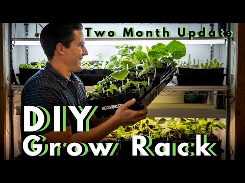DIY LED Grow Rack Update & Grow Lights vs Shop Lights