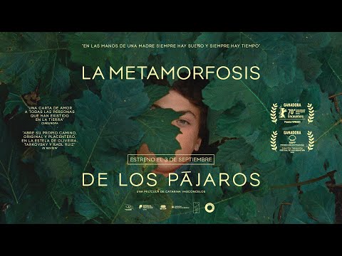 Tres miradas de mujer en los estrenos de cine del fin de semana