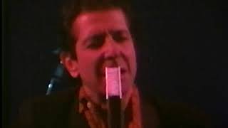 Leonard Cohen Live in Warsaw/Warszawa 1985 (Various Positions Tour)