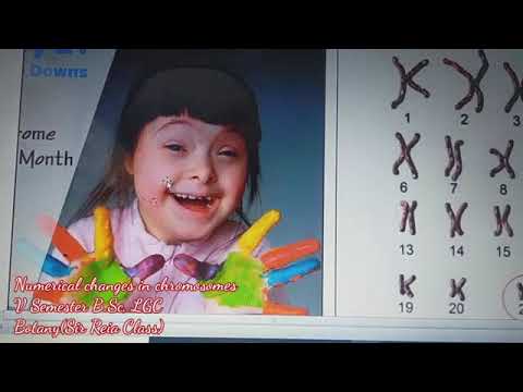 Numerical Changes in Chromosomes: Euploidy and Aneuploidy #Polyploidy #trisomy #DownSyndrome