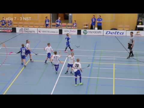 2017-04-08 Maalikooste LeBa-96 Hearts - NST D2 (-04) @Kontiolahden liikuntahalli