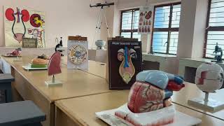Sree Cauvery School Video
