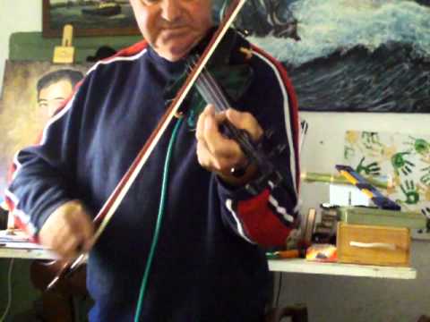 Skyinbow S1 4 string handmade in Scotland violin image 24