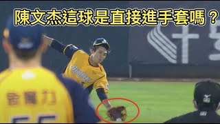 [分享] 史丹利-陳文杰這球到底該不該改判？