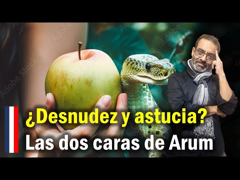 Why does the same Hebrew word designate "nakedness" and "cunning"?