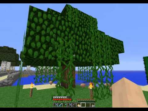 vokoinminecraft - How to get rid of the yucky swamp colour in Minecraft!