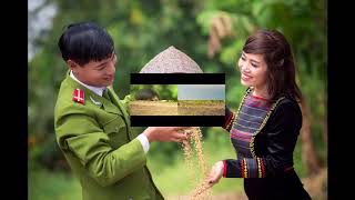 sDc 2