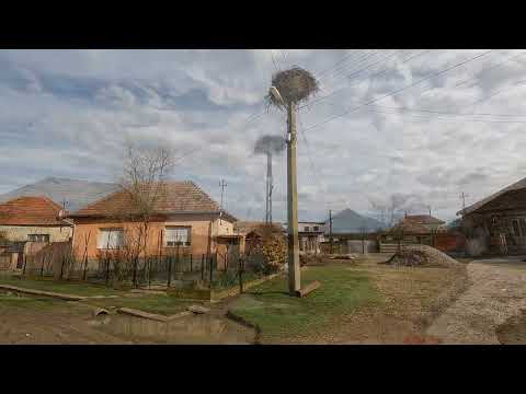 Cauasd - Martie/10/2023