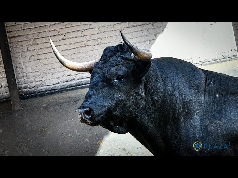 SORTEO | Desafío Juan Luis Fraile vs Valdellán