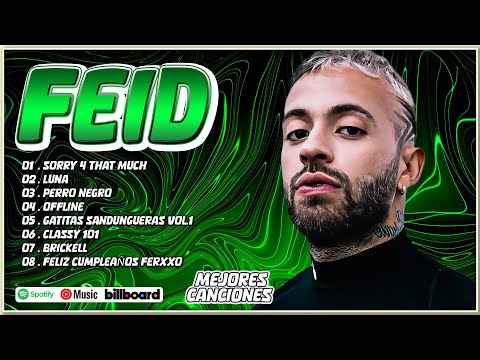 Feid Mix Éxitos 2024 - Lo Más Popular de Feid 2024