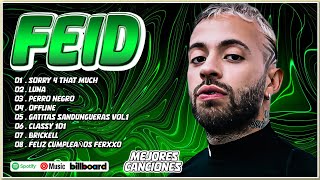 Download lagu Feid Mix Éxitos 2024 - Lo Más Popular de Feid 2024 mp3 Download lagu Feid Mix Éxitos 2024 - Lo Más Popular de Feid 2024 mp3