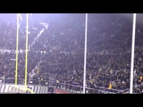 The Bounce House- UCF 2013