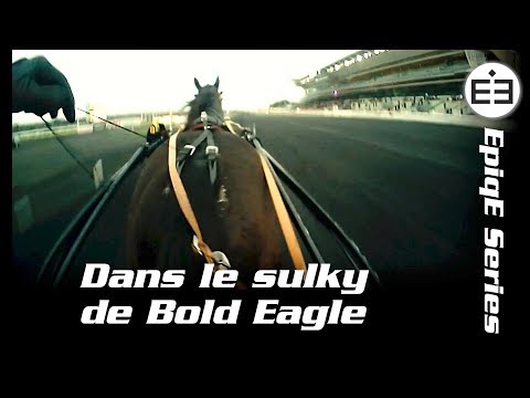 Dans le sulky de Bold Eagle