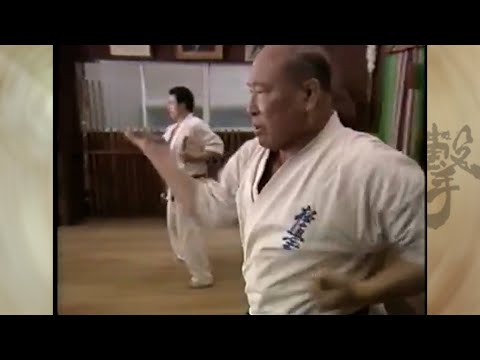 Choi Baedal's(Mas oyama) kyolushin karate basic skills instruction video