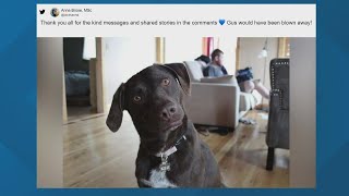 Chewy goes viral for heartwarming gesture