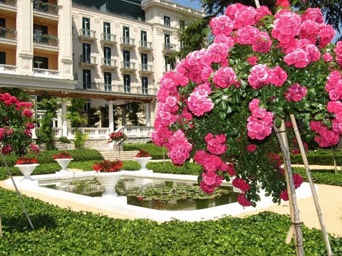 SLOVENIJA, NAJLEPŠA SI DEŽELA - NACE JUNKAR, OTO PESTNER