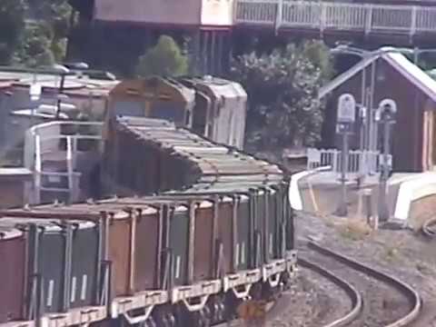 442s1+602+8037= MAITLAND