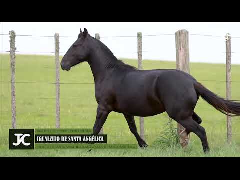 RP 2640 - Igualzito de Santa Angélica