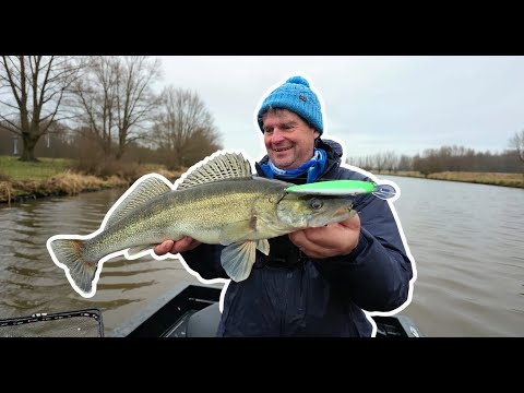 Mit Wobbler Zander am Tag im Winter fangen – Erfolgreiches im Fluss | Köder, Farben & Technik