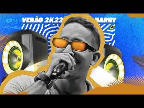 HARRY - O BRUXO DOS PAREDÕES - REPERTÓRIO NOVO SÓ AS TOPS 🔥