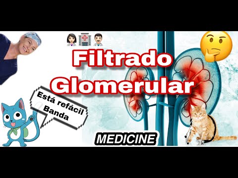 ¡TODO SOBRE FILTRADO GLOMERULAR!
