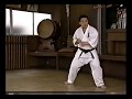 Training With Shokei Matsui