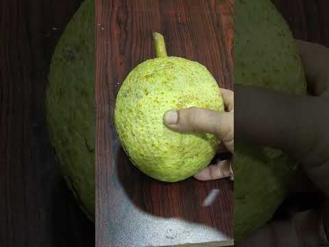 गावावरून आणलेल्या या फळभाजीची चव दुसऱ्या कुठल्याच भाजीला नाही| निरफणसाची भाजी| bread fruit sabji