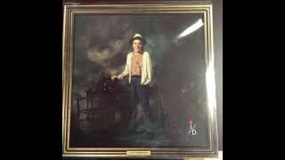 Ian Dury – Lord Upminster - girls (watching)