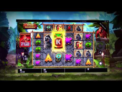 MongoTV_3594 - Mongo Casino - Del 236 - Spillemaskiner - Return of King Megaways