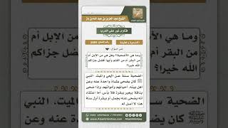 صورة 8489 - حكم ذبح الأضحية عن الميت -  نور على الدرب