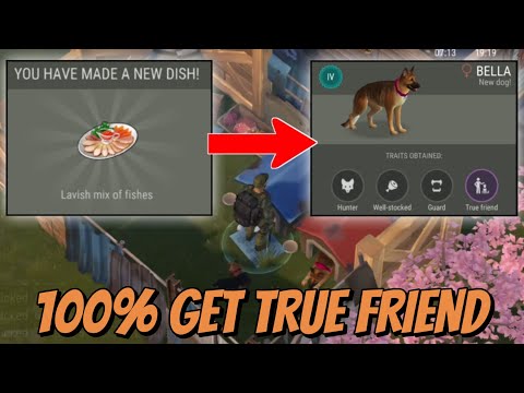 FOLLOW THESE STEPS FOR GET TRUE FRIEND DOG - LAST DAY ON EARTH SURVIVAL (LDOE)
