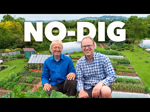 Tiny Yard Container Garden How to Grow 1 000 of Food