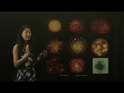 Data Visualization Buyer Beware