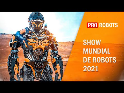 Forex robotas 2022