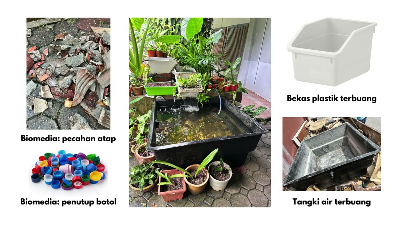 CALC UPM DIY AQUAPONIC 2024