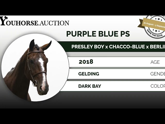 Purple Blue PS showvideo