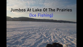 Jumbos At Lake Of The Prairies (Ice Fishing)