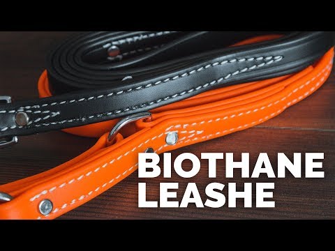 download lagu mp3 mp4 10 Foot Biothane Leash, download lagu 10 Foot Biothane Leash gratis, unduh video klip 10 Foot Biothane Leash