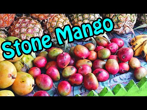 STONE MANGO at a Madagascar Market - Weird Fruit Explorer Ep 374