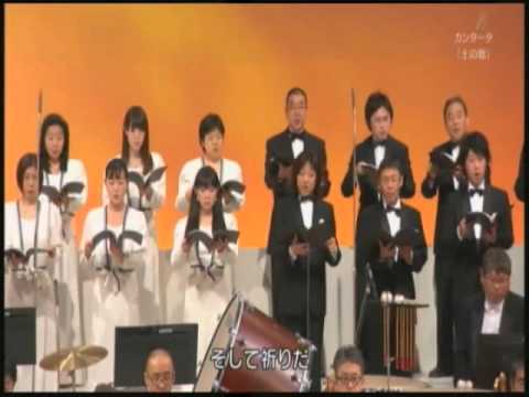 メトリオペリア メラノプテラ