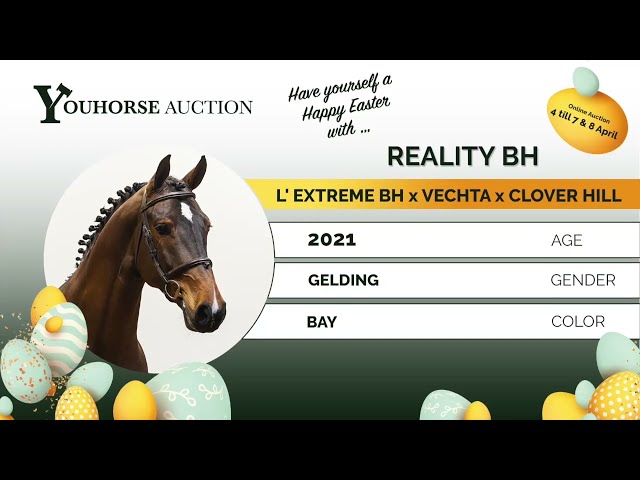 Reality showvideo