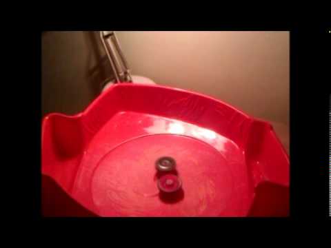 Twisted tempo VS Thermal lacerta