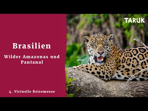 Reiseexperten im Gespräch über Brasiliens Amazonas und Pantanal | 4. TARUK Virtuelle Reisemesse